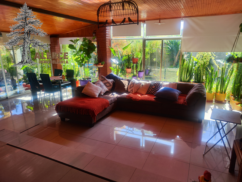Casa + Cabañas con Piscina en el Abra, Requínoa – El refugio de Mario — imagen 39 en Requínoa | Alerce Inmobiliaria
