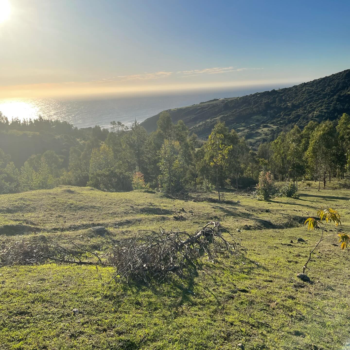 Brisas De Lobos — imagen 4 en Vichuquén | Alerce Inmobiliaria